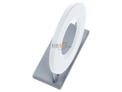 View top left Dotlux 5211 Decor element for luminaires - Decorative ring round white matt, 
