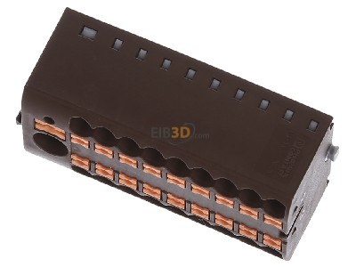 Ansicht oben vorne Phoenix PTFIX 6/18X2,5 BN Verteilerblock 
