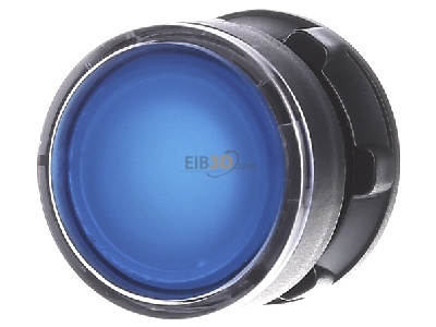 Front view Schneider Electric ZB5AH063 Push button actuator blue IP66 
