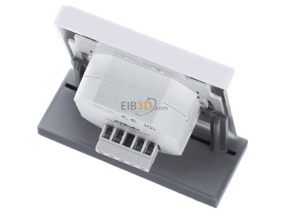 Top rear view Eltako BUTH55ED/12VDC-wg Room thermostat for bus system 
