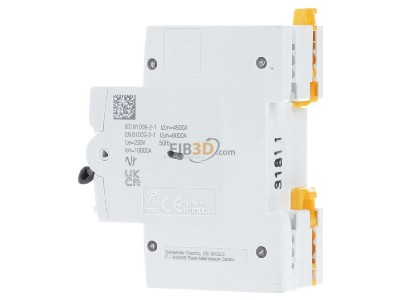 View on the right Schneider Electric A9D54210 Earth leakage circuit breaker C10/0,3A 
