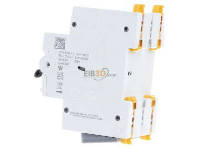 View on the right Schneider Electric A9D67316 Earth leakage circuit breaker C16/0,03A 
