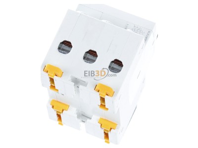 Top rear view Schneider Electric A9D67316 Earth leakage circuit breaker C16/0,03A 
