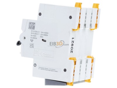 View on the right Schneider Electric A9D97425 Earth leakage circuit breaker B25/0,03A 
