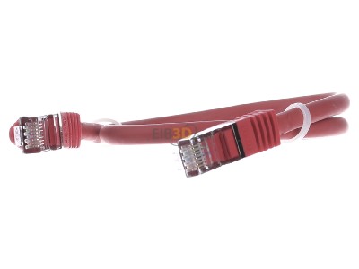 Front view E+P Elektrik CC242rotLose RJ45 8(8) Patch cord 6A (IEC) 0,5m 
