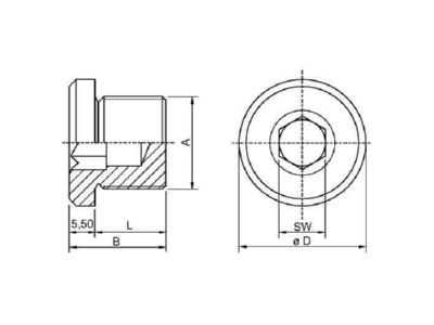 Dimensional drawing Stahl 253040 Plug for cable screw gland M25