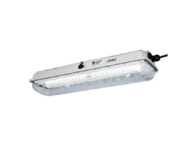 Product image Stahl 267054 Explosion proof luminaire fixed mounting

