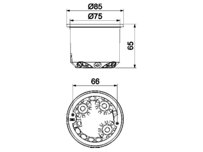 Mazeichnung 1 OBO HG 61 AD IP Geraetedose HW CEE PERILEX m Dicht 