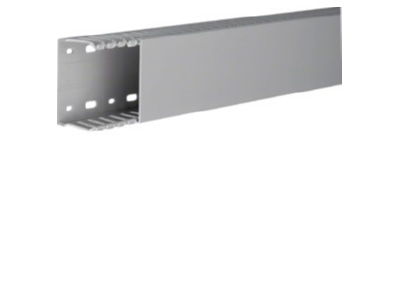 Product image 1 Tehalit DNG 50075 gr Slotted cable trunking system 49x74mm
