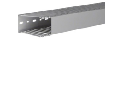 Product image 2 Tehalit DNG 100050 gr Slotted cable trunking system 98x49mm