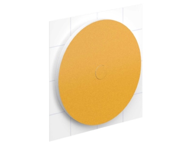 Product image 1 Kaiser 1219 00 Accessory for junction box
