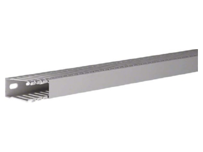 Product image 1 Tehalit DNG 50025 gr Slotted cable trunking system 49x24mm
