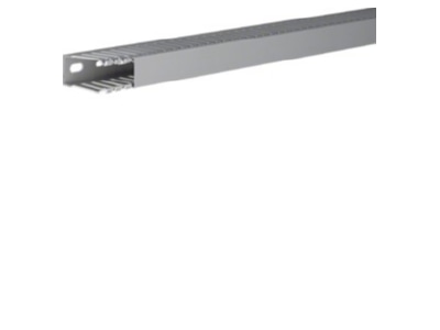 Product image 2 Tehalit DNG 50025 gr Slotted cable trunking system 49x24mm