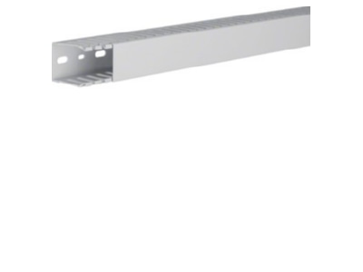 Product image 1 Tehalit HNG 50037 lgr Slotted cable trunking system 49x37mm
