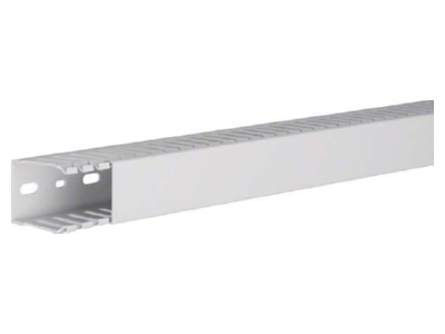 Product image 2 Tehalit HNG 50037 lgr Slotted cable trunking system 49x37mm