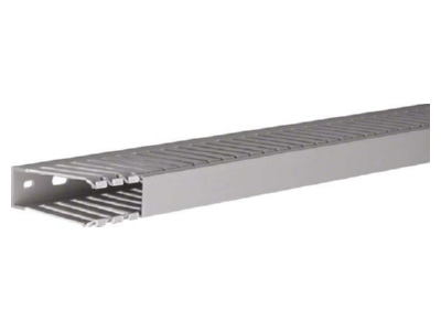 Product image 1 Tehalit DNG 75025 gr Slotted cable trunking system 73x24mm

