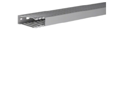 Product image 2 Tehalit DNG 75025 gr Slotted cable trunking system 73x24mm