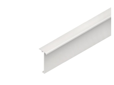 Product image Kleinhuis T SD70 6 Cover for skirting duct 72x27mm
