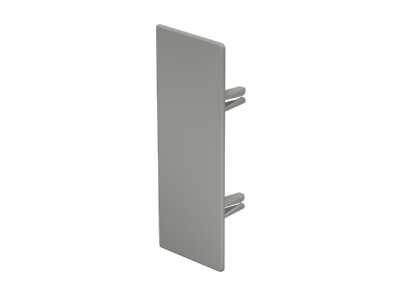 Produktbild OBO WDK HE60170GR Endstueck f 60x170