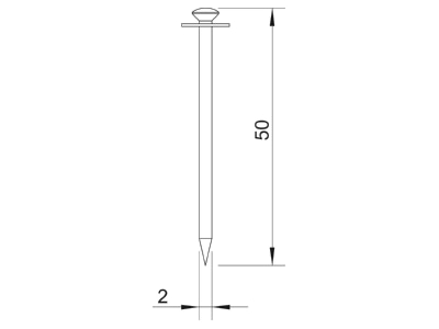 Dimensional drawing 3 OBO 500 50 Nail 2x50mm