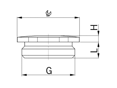 Dimensional drawing Kaiser 8841 63 Plug for cable screw gland M63