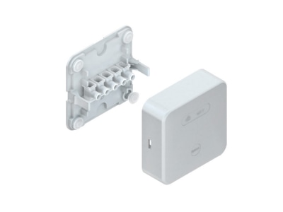 Product image Kleinhuis 818 Surface mounted terminal box 5x2 5mm 
