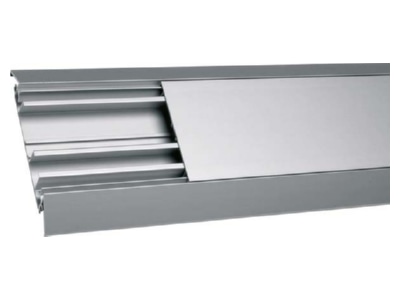 Product image 1 Tehalit AKA181250 ELN On floor wireway 125x18mm
