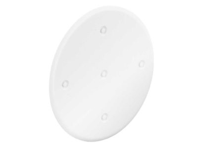 Product image 2 Kaiser 1184 90 Cover for flush mounted box round

