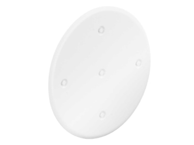 Product image Kaiser 1184 77 Cover for flush mounted box round
