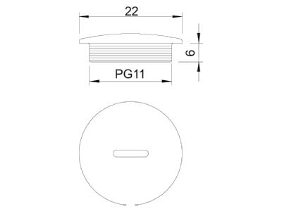 Ma�zeichnung 2 OBO 108 PG11 Verschlussschraube Iso lgr