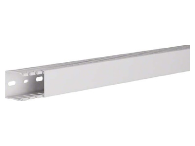 Product image 1 Tehalit HNG 37037 lgr Slotted cable trunking system 36x37mm
