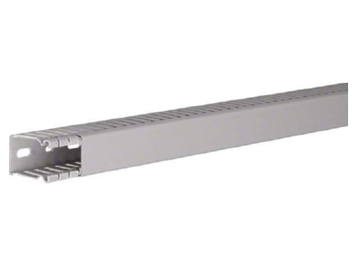 Product image 1 Tehalit BA6 40025B gr Slotted cable trunking system 43x31mm
