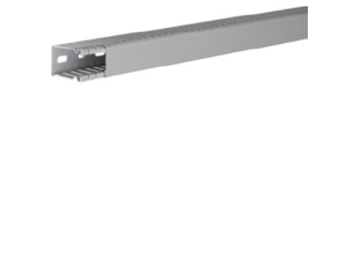 Product image 2 Tehalit BA6 40025B gr Slotted cable trunking system 43x31mm