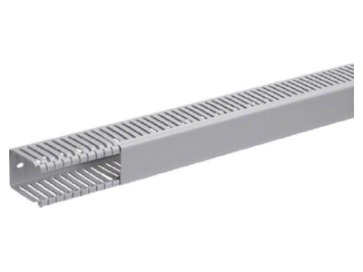 Product image 1 Tehalit BA6 60040B gr Slotted cable trunking system 64x47mm
