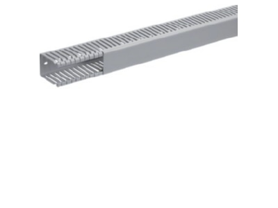 Product image 2 Tehalit BA6 60040B gr Slotted cable trunking system 64x47mm