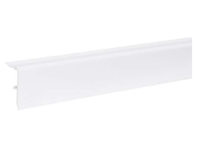 Produktbild 2 Tehalit SL 200570 rw Sockelleistenkanal 20x50  2 Weichlippen