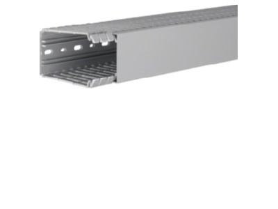 Product image 2 Tehalit BA7 100060 gr Slotted cable trunking system 100x60mm