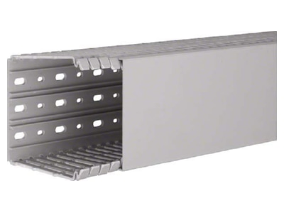 Product image 1 Tehalit BA7 100100 gr Slotted cable trunking system 100x100mm
