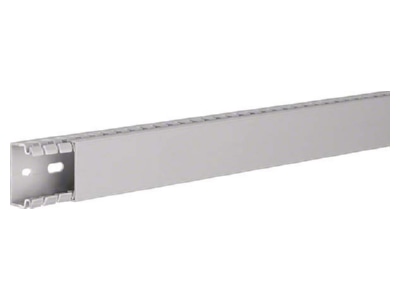 Product image 2 Tehalit BA7 25040 gr Slotted cable trunking system 25x40mm