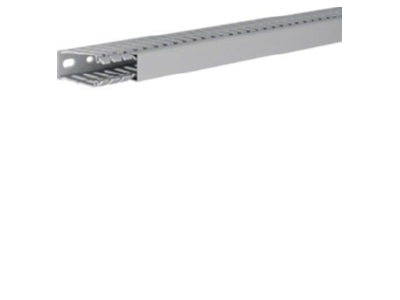Produktbild 1 Tehalit BA7 60025 gr Verdrahtungskanal 60x25mm