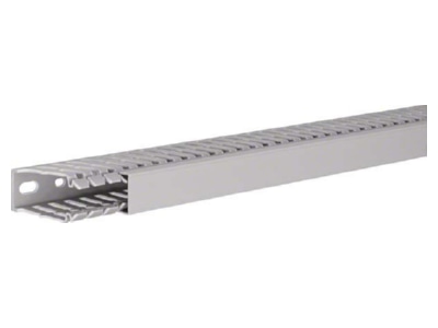 Produktbild 2 Tehalit BA7 60025 gr Verdrahtungskanal 60x25mm