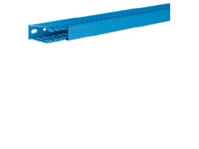 Product image 1 Tehalit BA7 60025 bl Slotted cable trunking system 60x25mm
