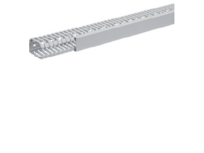 Product image 1 Tehalit BA7 60040 gr Slotted cable trunking system 60x40mm
