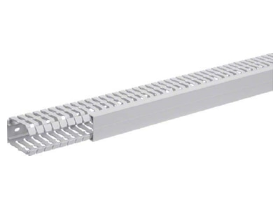 Product image 2 Tehalit BA7 60040 gr Slotted cable trunking system 60x40mm