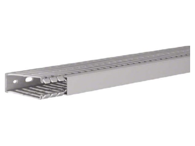 Produktbild 2 Tehalit BA7 80025 gr Verdrahtungskanal 80x25mm