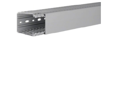 Product image 1 Tehalit BA7 80060 gr Slotted cable trunking system 80x60mm
