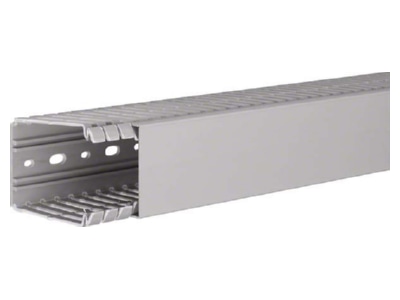 Product image 2 Tehalit BA7 80060 gr Slotted cable trunking system 80x60mm