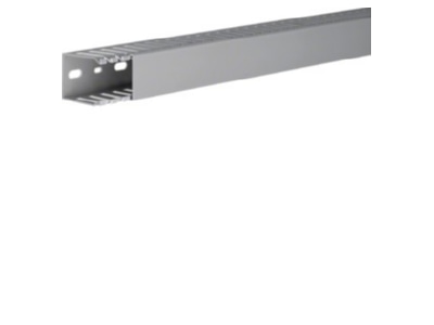 Product image 1 Tehalit DNG 50037 gr Slotted cable trunking system 49x37mm
