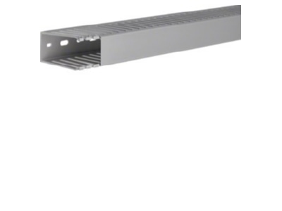 Product image 1 Tehalit DNG 75037 gr Slotted cable trunking system 73x37mm
