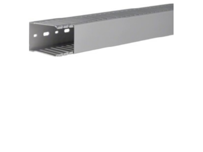 Product image 1 Tehalit DNG 75050 gr Slotted cable trunking system 73x49mm
